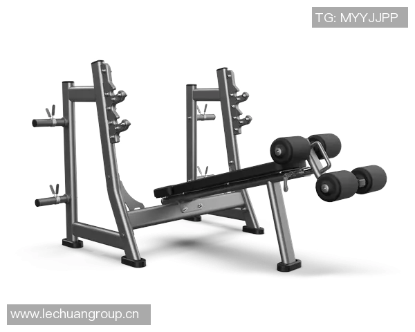 自由健身器材适合打造个性化家庭健身空间吗